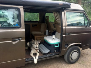 Doggie in the Van